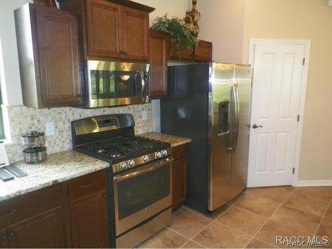 294 W Climbing Ivy Ct, Hernando, FL 34442 photo 5