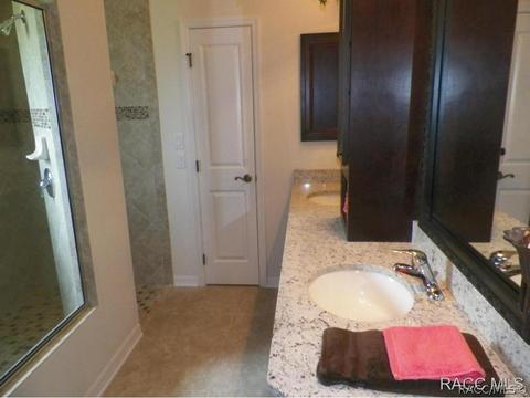 294 W Climbing Ivy Ct, Hernando, FL 34442 photo 14