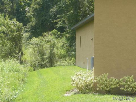 294 W Climbing Ivy Ct, Hernando, FL 34442 photo 23