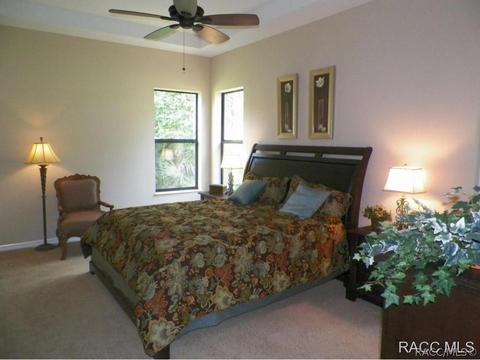 294 W Climbing Ivy Ct, Hernando, FL 34442 photo 12
