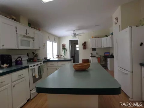 95 E Brandon St, Hernando, FL 34442 photo 19