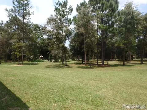 95 E Brandon St, Hernando, FL 34442 photo 32