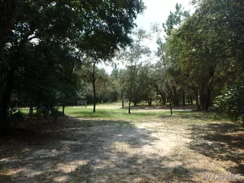 95 E Brandon St, Hernando, FL 34442 photo 33