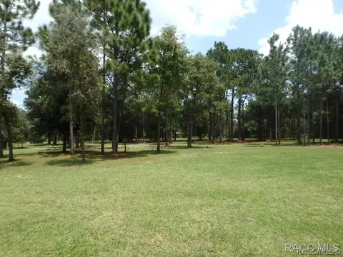 95 E Brandon St, Hernando, FL 34442 photo 31