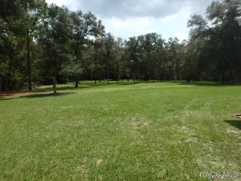 95 E Brandon St, Hernando, FL 34442 photo 26