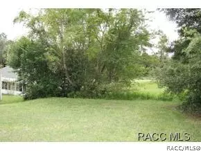 409 Wright St, Inverness, FL 34452 photo 22
