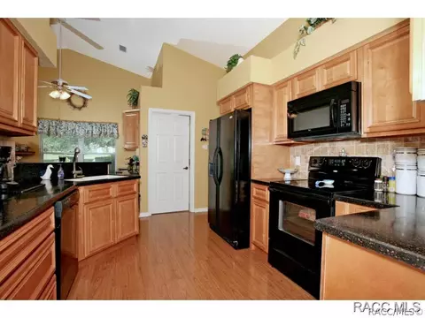 729 E Dakota Ct, Hernando, FL 34442 photo 7