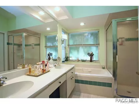 729 E Dakota Ct, Hernando, FL 34442 photo 12