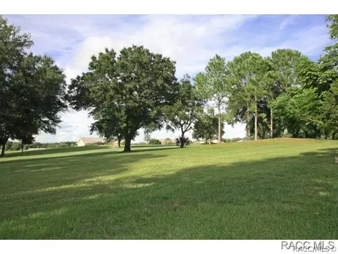 729 E Dakota Ct, Hernando, FL 34442 photo 21