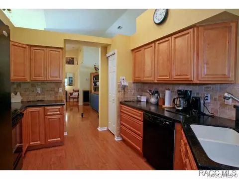 729 E Dakota Ct, Hernando, FL 34442 photo 8