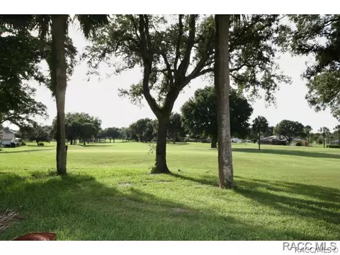 729 E Dakota Ct, Hernando, FL 34442 photo 22