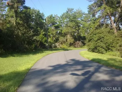 2442 SW 170th Loop, Ocala, FL 34473 photo 8
