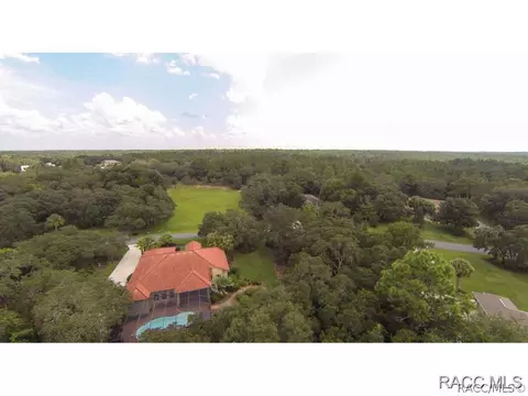 4050 N Ringwood Cir, Hernando, FL 34442 photo 35