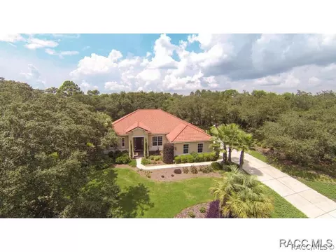 4050 N Ringwood Cir, Hernando, FL 34442 photo 1