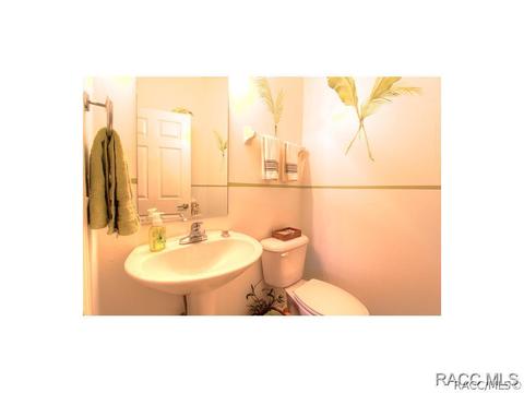 725 W Doerr Path, Hernando, FL 34442 photo 7