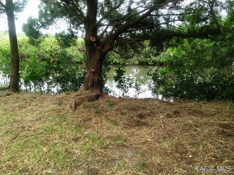 1479 S Surf Loop, Crystal River, FL 34429 photo 6