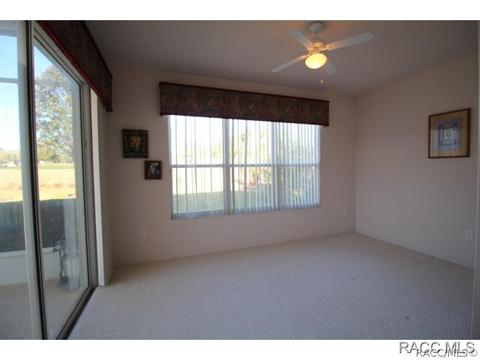 335 W Mickey Mantle Path, Hernando, FL 34442 photo 18
