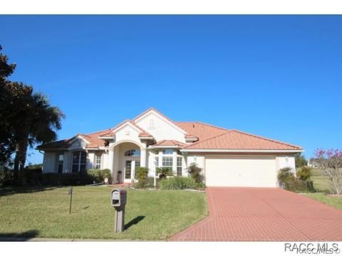 335 W Mickey Mantle Path, Hernando, FL 34442 photo 34