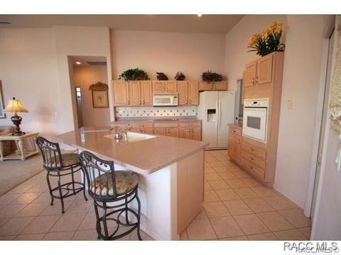 335 W Mickey Mantle Path, Hernando, FL 34442 photo 13