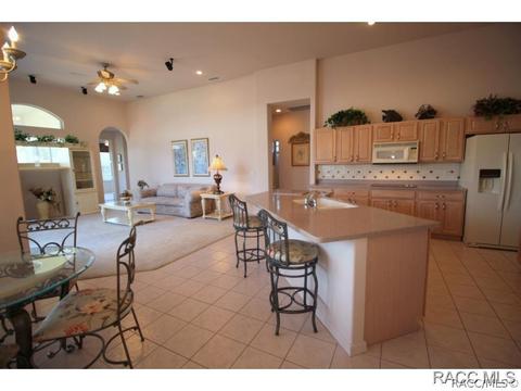 335 W Mickey Mantle Path, Hernando, FL 34442 photo 16