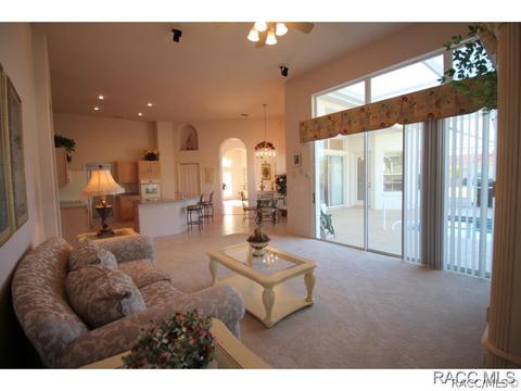 335 W Mickey Mantle Path, Hernando, FL 34442 photo 17