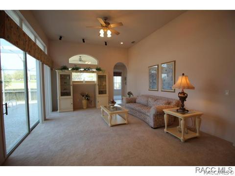 335 W Mickey Mantle Path, Hernando, FL 34442 photo 10