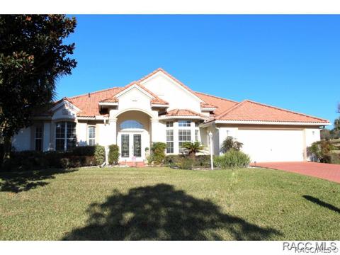 335 W Mickey Mantle Path, Hernando, FL 34442 photo 1