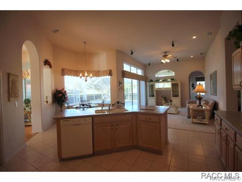 335 W Mickey Mantle Path, Hernando, FL 34442 photo 11