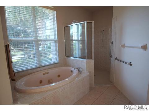 335 W Mickey Mantle Path, Hernando, FL 34442 photo 9