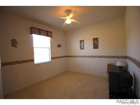 335 W Mickey Mantle Path, Hernando, FL 34442 photo 22