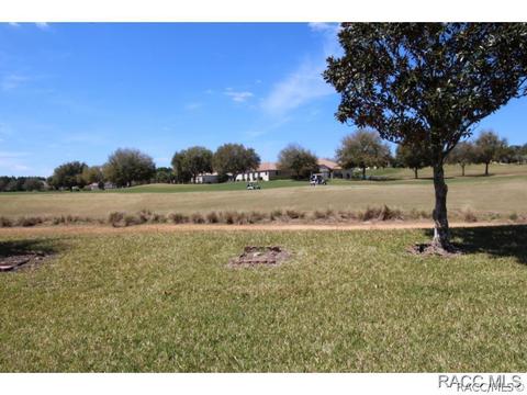 335 W Mickey Mantle Path, Hernando, FL 34442 photo 30