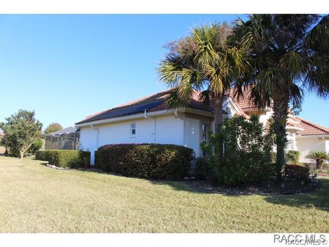 335 W Mickey Mantle Path, Hernando, FL 34442 photo 32