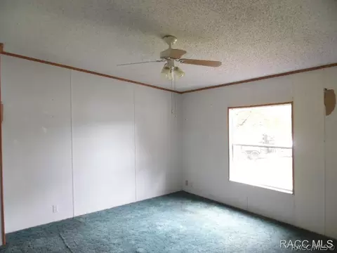 33101 Headstone St, Webster, FL 33597 photo 4
