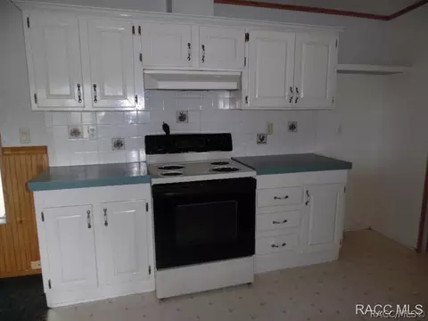 33101 Headstone St, Webster, FL 33597 photo 3