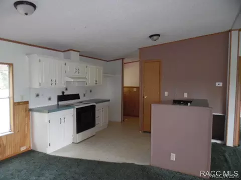 33101 Headstone St, Webster, FL 33597 photo 2