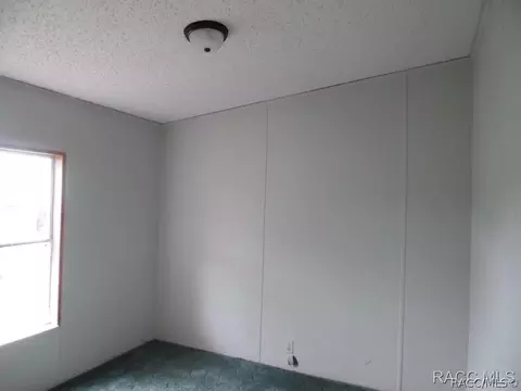 33101 Headstone St, Webster, FL 33597 photo 9