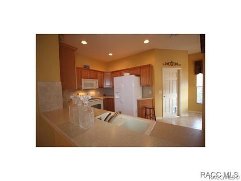 1589 W Spring Meadow Loop, Lecanto, FL 34461 photo 14