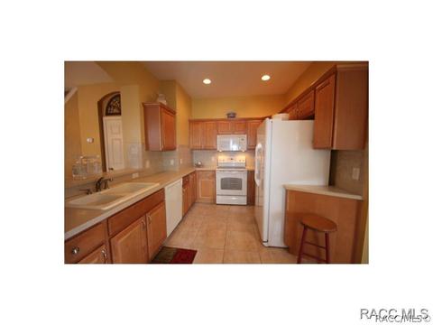 1589 W Spring Meadow Loop, Lecanto, FL 34461 photo 15