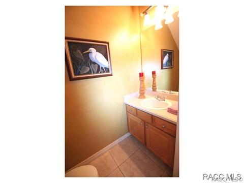 1589 W Spring Meadow Loop, Lecanto, FL 34461 photo 13