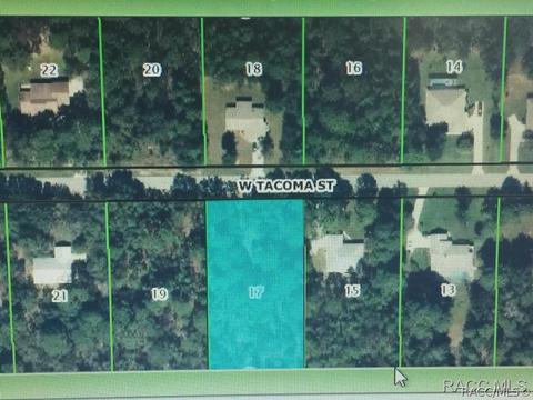 1734 W Tacoma St, Hernando, FL 34442 photo 2
