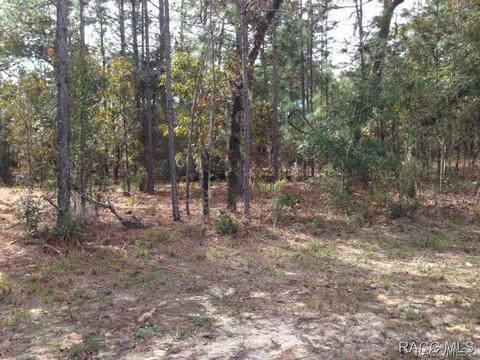 1734 W Tacoma St, Hernando, FL 34442 photo 1