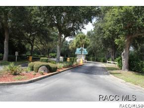 4582 N Serene Pt, Hernando, FL 34442 photo 31