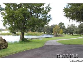 4582 N Serene Pt, Hernando, FL 34442 photo 28