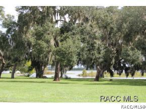 4582 N Serene Pt, Hernando, FL 34442 photo 24