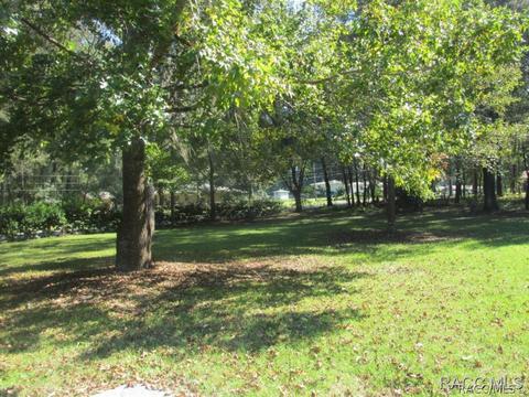 5960 E Payson Ct, Inverness, FL 34452 photo 29