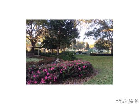 1691 N Foxboro Loop, Crystal River, FL 34429 photo 21
