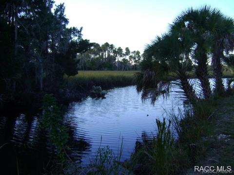 1691 N Foxboro Loop, Crystal River, FL 34429 photo 34