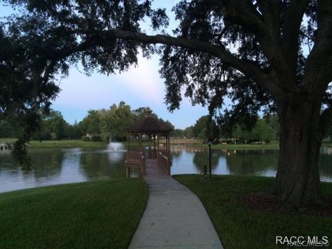 1691 N Foxboro Loop, Crystal River, FL 34429 photo 20