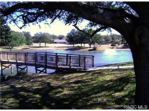 1691 N Foxboro Loop, Crystal River, FL 34429 photo 23