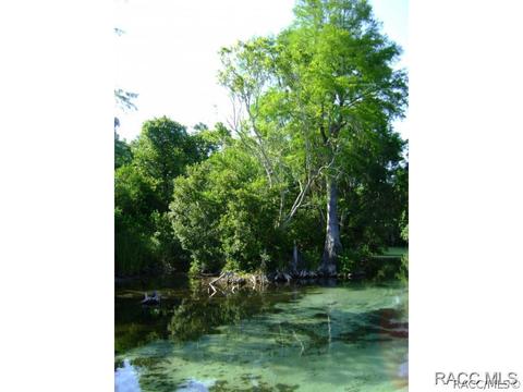 1691 N Foxboro Loop, Crystal River, FL 34429 photo 30